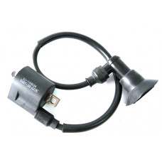 Катушка зажигания в сборе (QJ-100604/50QT-2A-2235) (96200B0DT000)
