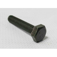 Болт M6x1.0x 30мм, сталь (B01010603033)