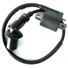 Катушка зажигания в сборе (QJ-110303/QJ125E-2221) (96200J5BT000)