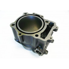 Блок цилиндра (600 cc), в сборе