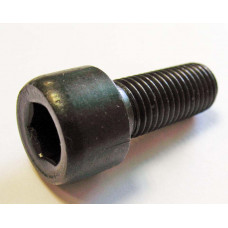 Винт M10x1,25x25 DIN 912-88P (JU079938)